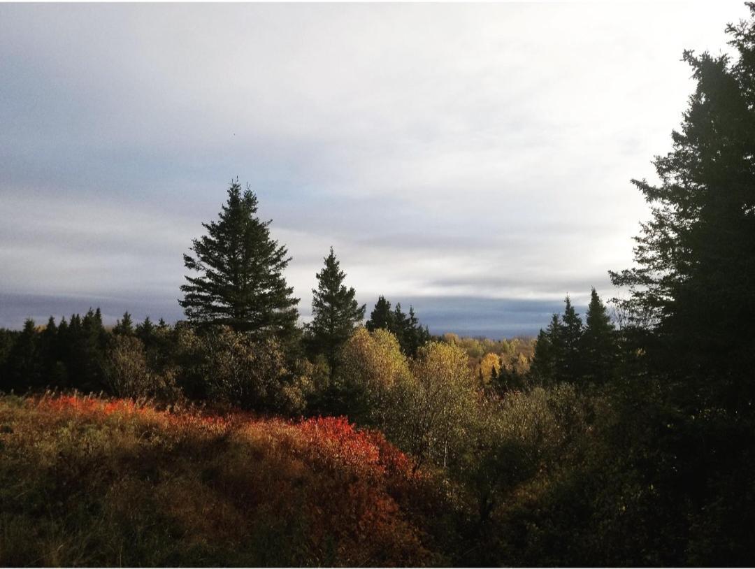 Gite Aux Jardins De L'Anse Perce Bagian luar foto