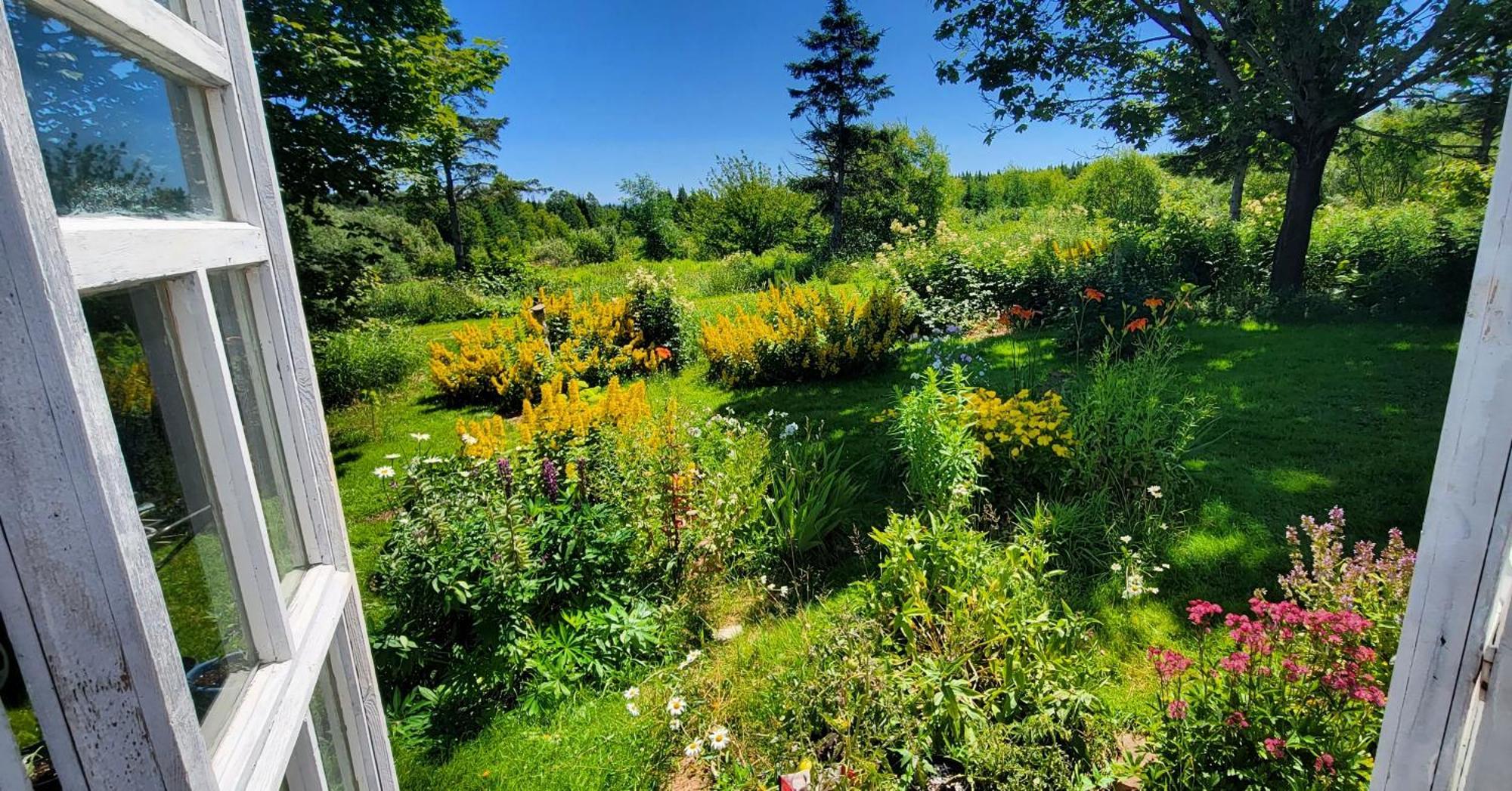 Gite Aux Jardins De L'Anse Perce Bagian luar foto
