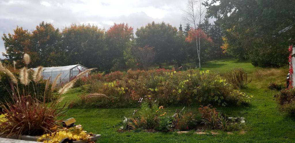 Gite Aux Jardins De L'Anse Perce Bagian luar foto